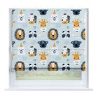 Чудесный зоопарк